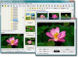 Faststone Image Viewer Powerful And Intuitive Photo Viewer Editor And Batch Free Photo Editing Software Photo Editing Software Photo Apps