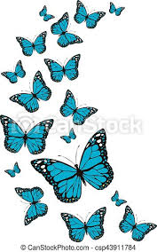 Butterfly, a brightly coloured insect that has the capability to get anyones attention.the way they take their flight, have nectar from flower, i just love watching them as they brings joy and happiness. Vector Blue Butterflies Canstock