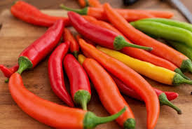 Italienischer Chili: Sorten, Anwendung & Fehler vermeiden