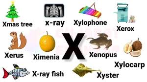 Here's how to get microsoft word for your own computer. X Letter Words In English Words Starting With Letter X X Letter Words With Pictures Letter N Words English Words Words