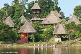 Lodges In The Amazon Ecuador Amazon Rainforest Tours With Row Adventures Lodges Amazon Rain Forest Ecuad Brazil Rainforest Rainforest Amazon Rainforest