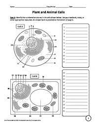 The distinction in cell structure is get a free answer to a quick problem. Using The Word Bank Students Label Diagrams Of A Plant Cell Animal Cell And Bacterial Cell Students A Cells Worksheet Bacterial Cell Plant And Animal Cells