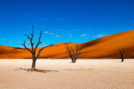 A desert rose is a selenite gypsum that occurs naturally. Why Namibia Should Be Your Post Covid Trip Rough Guides