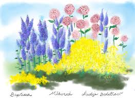 Cooke House And Legacy Gardens The Martha S Vineyard Times