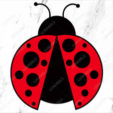 Ladybug Svg Beetle Svg Ladybug Clipart Lady Bug Svg Love Etsy In 2020 Svg Love Bugs Ladybug