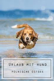 Ihr Plant Euren N 228 Chsten Urlaub Mit Hund Und Wisst Noch Nicht Genau Wo Es Hingehen Soll Wie W 228 Re Urlaub Mit Hund Urlaub Mit Hund Ostsee Hund Reisen