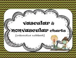 Plant Classification Chart Worksheets Teaching Resources Tpt