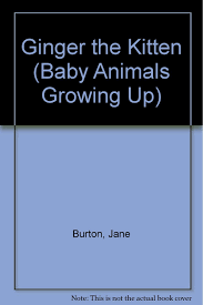 Sweet, sweet little girls ! Ginger The Kitten Baby Animals Growing Up Amazon De Burton Jane Fremdsprachige Bucher