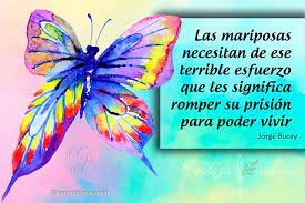 Pin On Belleza Que Encanta