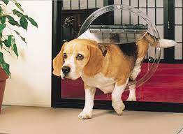In glass pet door installation. Pet Doors By Jims Glass