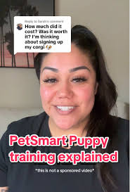 Working As A Petsmart Pet Trainer