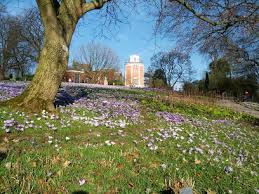 מלונות ליד ‪the wuppertal suspension railway‬. Trfihi Parks Parks Botanischer Garten Wuppertal