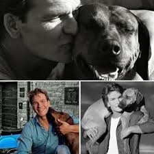 The best smell in the world is a happy dog