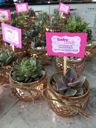 These succulent baby shower ideas are dedicated to those who love to find creative and beautiful ways to welcome babies into the world. Succulent Baby Shower Favors Baby Shower Favors Baby Shower Brunch Baby Shower