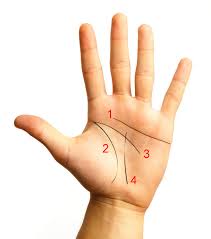 How to read palms lines. Here S What The Lines On Your Hands Say About You Her Ie