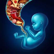 È causata dal parassita toxoplasma gondii, che si può annidare nella carne cruda, nei cibi poco cotti o nelle feci dei gatti.se una donna viene infettata durante la. Dieta In Gravidanza Cosa Mangiare Schema Settimanale E Cibi Da Evitare Greenme