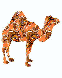 Pin On Print Pictures