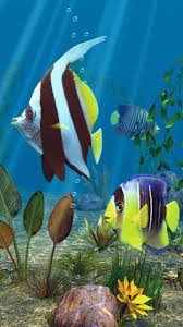 Por christian collado el 30/12/2020. Peces Tropicales 3d Fondo De Pantalla Vivo De Iphone Descargar En La Aplicacion Phoneky Para Ios