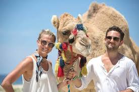 Immerse yourself in camel culture and learn about its history, anatomy, personality, keeping, and training. Spacetraveller Activity Desert Sea Camel Safari Tour