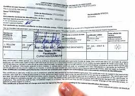 Para imprimir seu certificado internacional de vacinação online, basta entrar no site do portal de serviços, imprimir o documento e assinar o cartão no local indicado. Confira O Passo A Passo Para Emitir O Civp Pela Internet Aconteceu No Vale