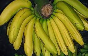 Berdasarkan situs wikipedia.org, mimpi juga dapat diartikan sebagai suatu pengalaman yang ada dibawah sadar diri kita. Aneka Buah Buahan Mengenal Macam Macam Jenis Buah Pisang