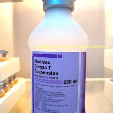 Pneumococcal disease, pneumococcal vaccination, ppv23, pcv13 main point of article: Harga Vaksin Pneumococcal Untuk Bayi
