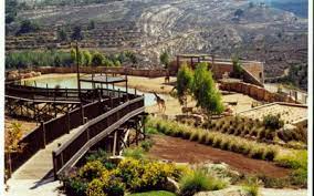 Stretching across almost 100 acres, the zoo is extremely popular, attracting over 750,000 visitors annually. Tisch Family Zoological Gardens In Jerusalem The Biblical Zoo