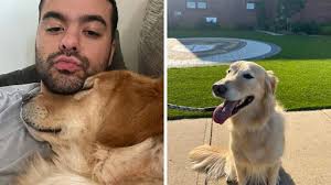 The latest sailor's journey to find lost dog news, videos & comments