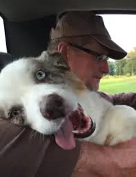 Obituary information for John D. Schiewe