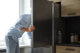 We did not find results for: Counter Depth Refrigerator Vs Standard What S The Difference