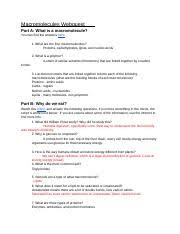 Macromolecules Webquest Docx Macromolecules Webquest Part A What Is A Macromolecule You Can Find The Answers Here 1 What Are The Four Macromolecules Course Hero