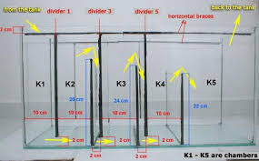 Resultado De Imagem Para Diy Aquarium Overflow System Filtro Para Aquario Ideias Para Aquario Tanques De Peixes