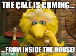 Image Tagged In Big Bird Phone Imgflip