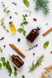 Ingredients For Essential Oil Different Herbs And Bottles Of Essential Oil White Background Flatlay Diy Beard Oil Beard Oil Diy Beard