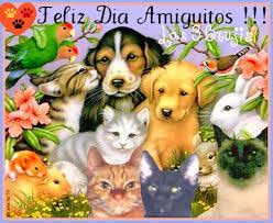 Día del animal en argentina: 29 De Abril Dia Del Animal Imagenes Y Frases Para Compartir