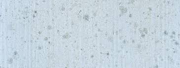 Weird fungus is an odd pink material that can be found in the fungal caverns. Mildew Sherwin Williams
