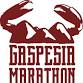 Gaspesia Marathon event image