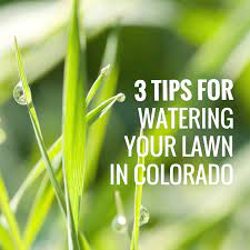 Knowing how often, how deeply, and for how long to water your lawn can be tricky. 3 Tips For Watering Your Grass In Colorado All Terrain Landscaping