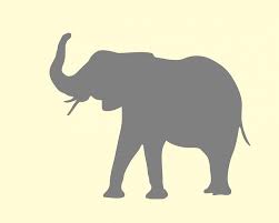 Greatbigcanvas.com has been visited by 100k+ users in the past month Elephant Animal Silhouette Free Image On Pixabay