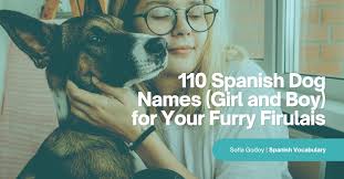 Dozens of resources can help you find last name origins. 110 Spanish Dog Names Girl And Boy For Your Furry Firulais