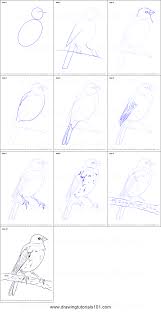 It often lived together in the form of a group. How To Draw Valentines Grogu Novocom Top