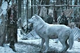 As nightblessedzoroark said, wolves are large animals, so vanilla size is quite accurate. Um Were You Aware That Wolves Are Really Fucking Huge