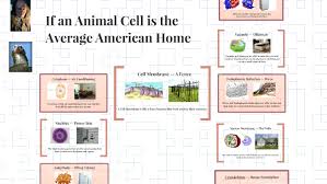 Cash paid 4 antiques & household items $1,000,000 (baltimore ) hide this posting restore restore this posting. Animal Cell To Household Items By Taylor P