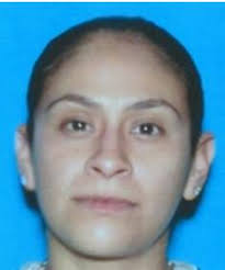 National Gun Violence Memorial: August 11, 2015