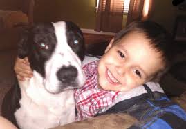 Abandoned JRT mix needs rescue and adoption in NY