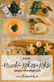 Dein Hund Hat Mundgeruch Diese 4 Hausmittel Helfen Inkl Gratis Rezept Flummi S Diary Hunde Kekse Rezept Mundgeruch Hundekekse