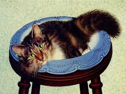 Cat Collection Cats Artists Cats Illustration Cat Sketch