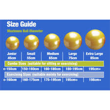 Group Fitness Certification Ymca Fitness Ball Size