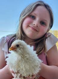 Free ranging chicken protection ideas needed
