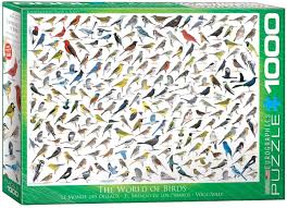 Start solving your favorite jigsaw puzzle now! Eurographics Rompecabezas De The World Of Birds 1000 Piezas Amazon Com Mx Juguetes Y Juegos